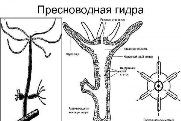 Блэкспрут ссылка club